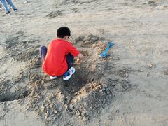 -东郊椰林