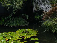 -中国茶叶博物馆(双峰馆区)