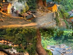 -杨家堂村