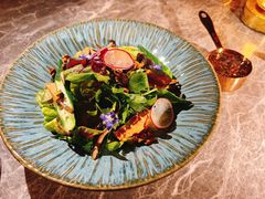 -Hi City·城市之巅