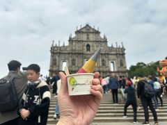 -柠檬车露(卖草地店)