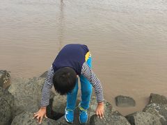 -南汇嘴观海公园