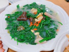 上汤枸杞叶-长润·濑尿烧鹅