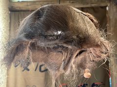 -泥糊破店小酒馆·团建聚餐(南京西路店)