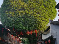 -星巴克(福州三坊七巷店)