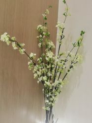 -王妃SPA·美容·科技抗衰