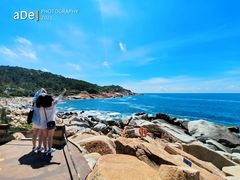 -广东惠东海龟国家级自然保护区