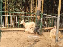 -兰陵国家农业公园