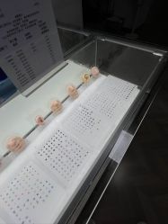 -众刺纹画·纹身·穿孔饰品·海娜定制