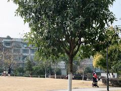 -沙河三洞古桥公园