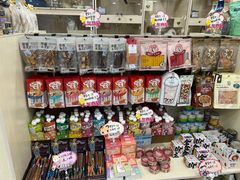 -当汪遇见喵宠物店