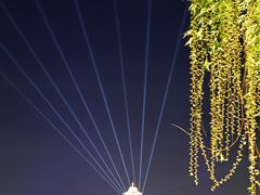-金鸡湖景区