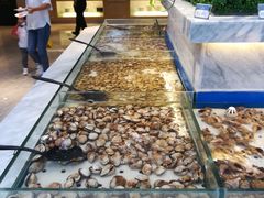 -川骄海鲜自助(河东店)