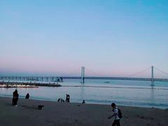 -星海湾跨海大桥