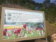 -广州市流溪河国家森林公园