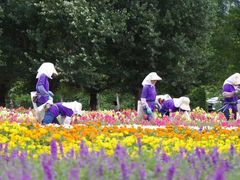 -富田农场
