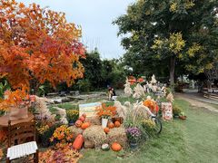 -HERRE·FARM 赫尔露营农场·团建聚会包场