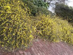 -木槿校园影城(闵行交大菁菁堂店)