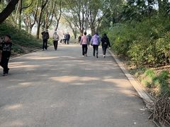 -蜀冈西峰生态公园