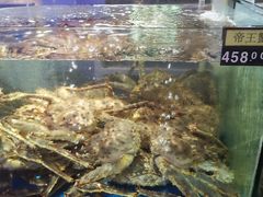 水产区-蟹之国·精品蟹料理(极地店)