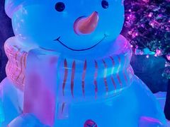 -世界之窗阿尔卑斯冰雪世界