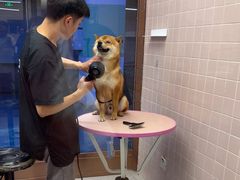 -FAELING PETS美天灵宠物(富力广场店)