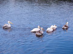 -乐和乐都主题乐园