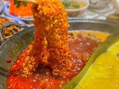 -朱光玉火锅馆(正弘城店)