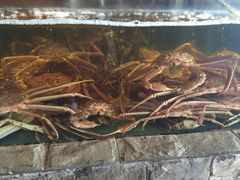 -蟹之国·精品蟹料理(极地店)