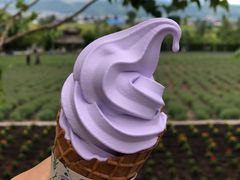 -富田农场