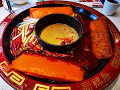 -蜀辣居鲜货老火锅(万象城店)