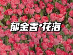 -无锡梅园公园