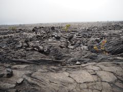 -夏威夷火山国家公园