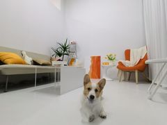 -一间摄影工作室(天安云谷店)