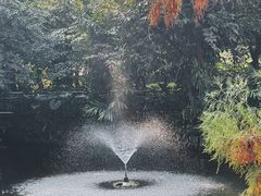 -广州兰圃