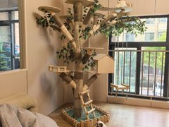 -唐小姐の私宠·宠物洗护美容·撸猫馆·购宠(周浦万达旗舰店)