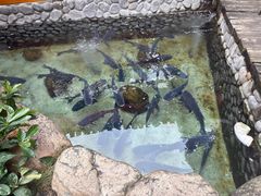 -耕渔小院·湖南鱼鲜(望城店)