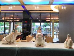 -鹭江潮餐厅•福建菜(鹭江佲家酒店)