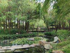 -尚贤河湿地