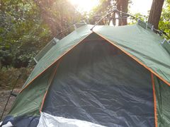 -铁山坪森林公园