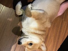 -天地無用GAME BAR