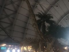 -辽宁古生物博物馆