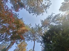 -唐风温泉