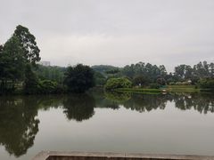 -南沙蒲洲花园