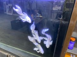 -HGS TATTOO 花果山刺青