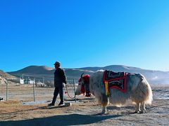游乐设施-羊卓雍措