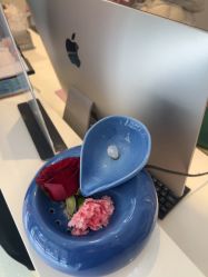 点击看大图 -Dr.林醫生产后修复·配方产康店(南京大厂店)