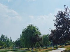 -两河城市森林公园