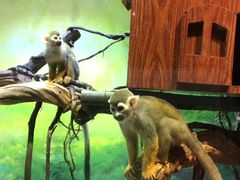 -华夏文旅西安度假区