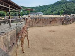 -杭州野生动物世界